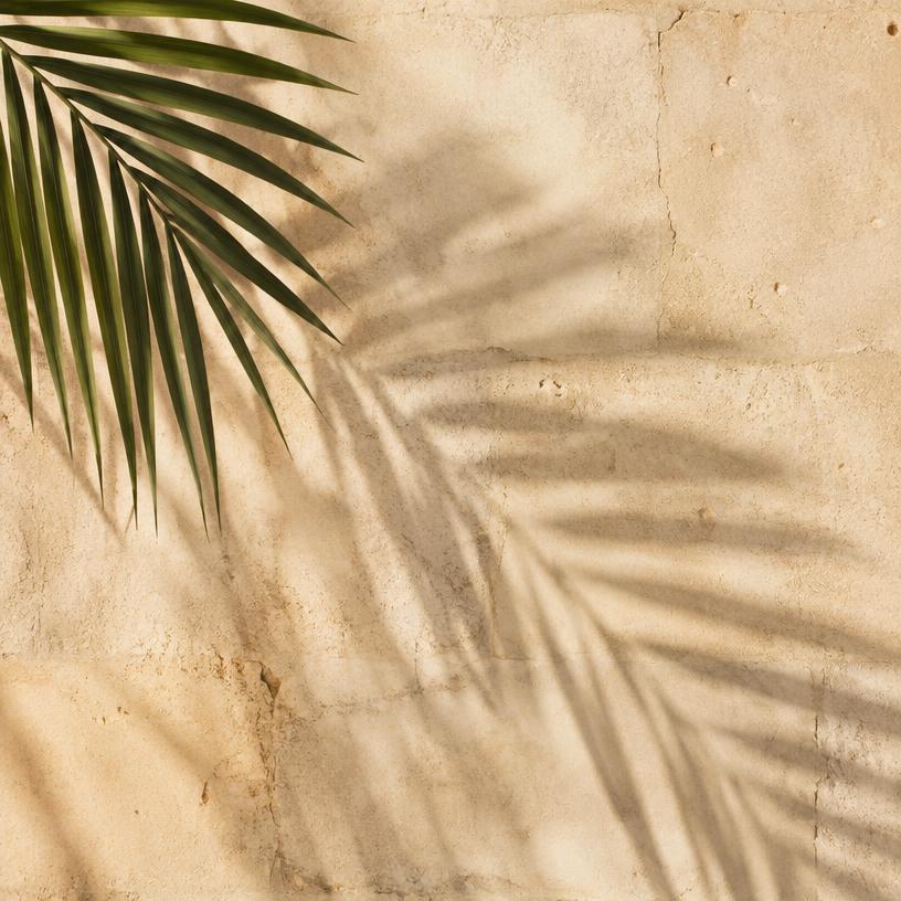 Palm-leaf shadow